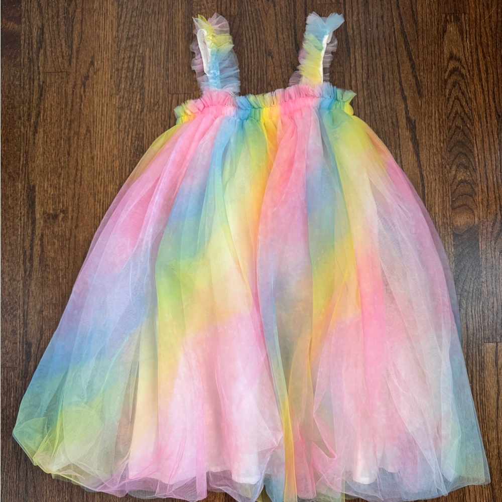Lola Pink and Blue Dance Costume with Tulle Layers